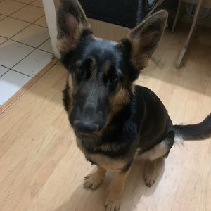 Meet your Posher, Jake